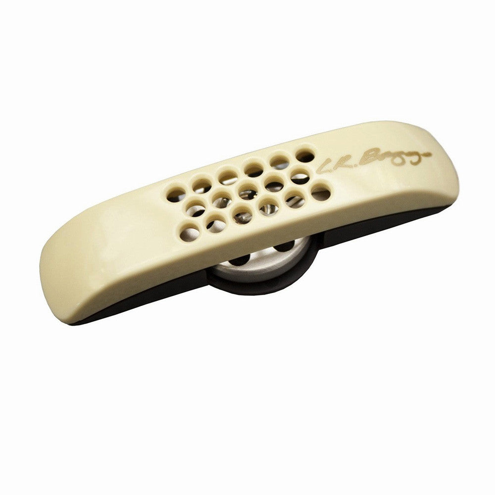 LR Baggs Anthem StagePro