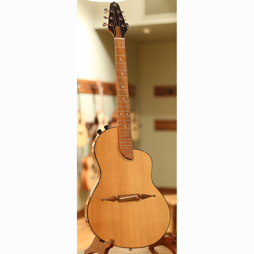 Renaissance RS6 Standard